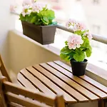 Atena Rooms